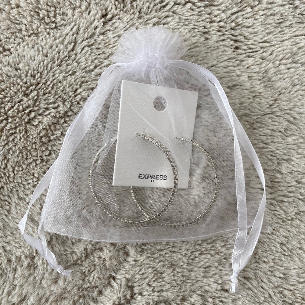 Express Silver Hoop Earrings